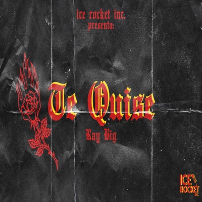 Te Quise - Single