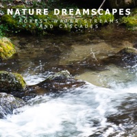 Forest Water Streams and Cascades - Nature Dreamscapes