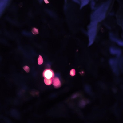 Missed Calls (feat. Cr00k) - Single