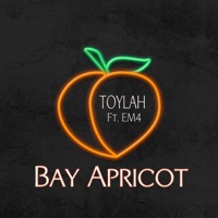 Bay Apricot (feat. EM4) - Single - Toylah