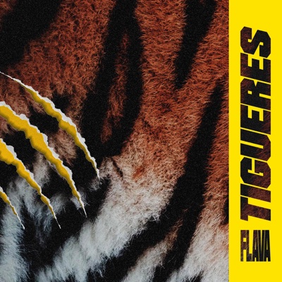 Tigueres (feat. Flava) - Single