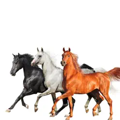 Old Town Road (Diplo Remix) - Single - Billy Ray Cyrus Old Town Road (Diplo Remix) - Single - Billy Ray Cyrus