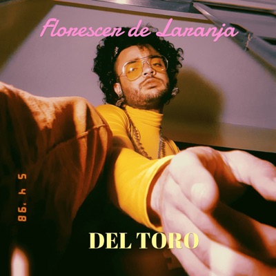Florescer de Laranja - Single