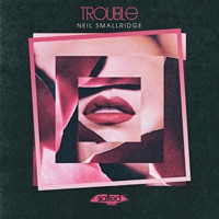 Trouble (feat. Melanie Williams) - EP - Neil Smallridge