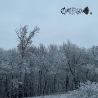 Frostbite - Single - Matt Fischer