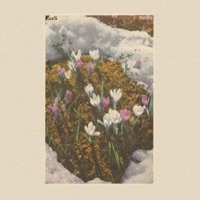 Verna - Single - E66s