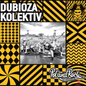 Dubioza Kolektiv (Live Pol'and'Rock Festival 2018) artwork