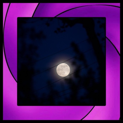 TOBI (feat. Hollow Donnie) - Single