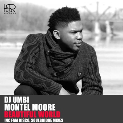 Beautiful World, Pt. 1 (feat. Montel Moore) - Single
