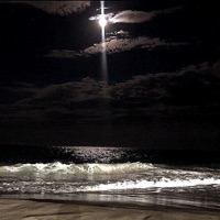 Árbol De Papel - Single - $lum