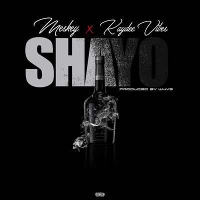 Shayo (feat. Kaydee Vibes) - Single