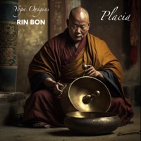 Placid - Single - Yoga Origins & Rin Bon