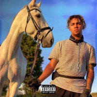 Racehorse - Single - MVD Micki