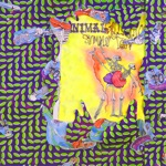 Animal Collective - Daily Routine