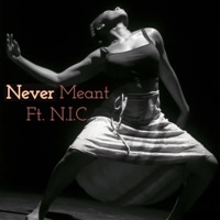 Never Meant (feat. N.I.C.) - Single - Prototype Kp