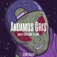 Andamos Gris (feat. Soto SxMx & Sewre) - Single - Suizo