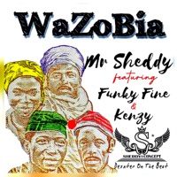 WaZoBia (feat. Kenzy & Funky-Fine) - Single - MR SHEDDY