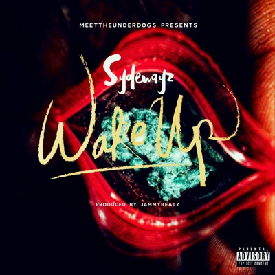 Wake Up - Single