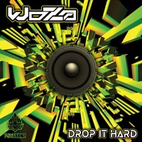 Drop It Hard - Single - Woza