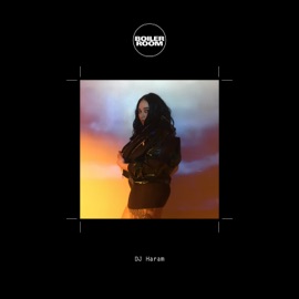 The LSS Dub (Mixed) MikeQ