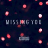Missing You - Single