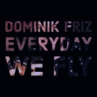 Everyday We Fly - Single - Dominik Friz