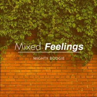 Mixed Feelings - Single - Mighty Boogie