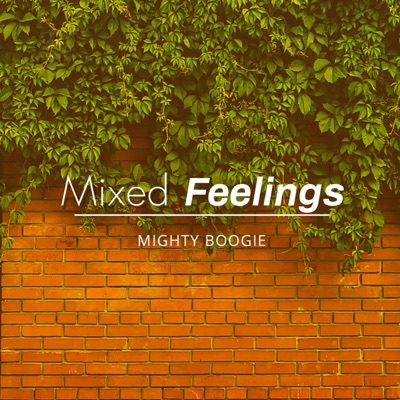 Mixed Feelings - Single