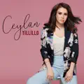 Tillillo