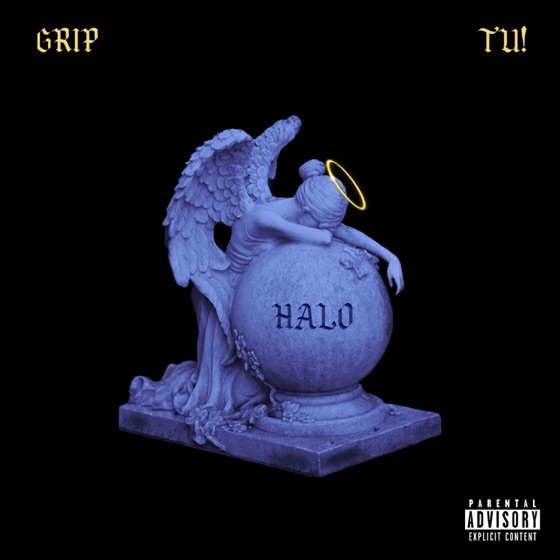Cover artwork for House