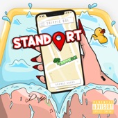 Standort artwork