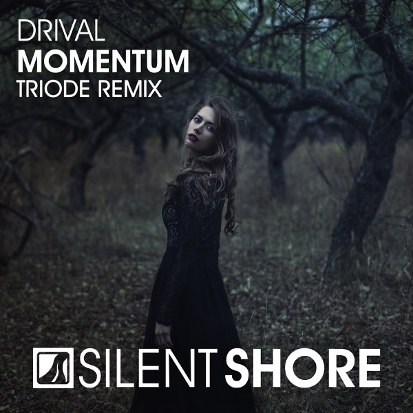 Momentum (Triode Remix) - Single