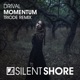 Momentum Triode Remix Single