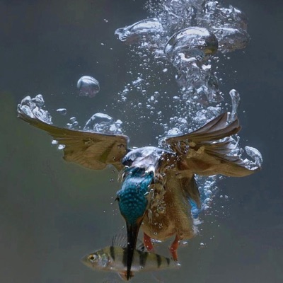 Big Dresses (feat. Clau) - Single