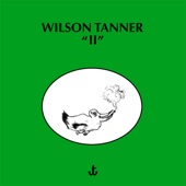 Wilson Tanner - My Gull
