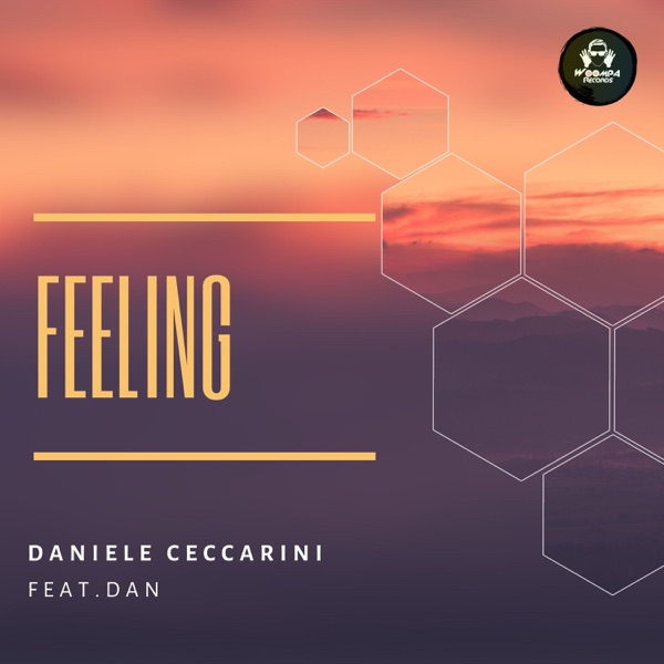 Feeling (feat. Dan) - Single