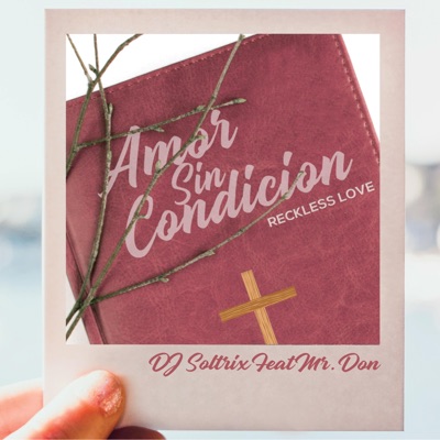 Amor Sin Condicion (Reckless Love) [feat. Mr. Don] - Single