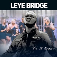 On a Coded - Single - Leyeh Bridge