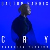 Cry (Acoustic Version) - Single