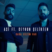Baba Sözüm Var (Almaya Geliyoruz Hakkımızı) [feat. Ceyhun Çelikten] artwork
