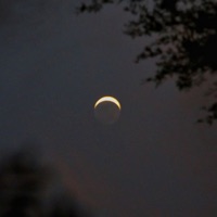 Planeta Errante - Single - Mortimer Drunk & RBT