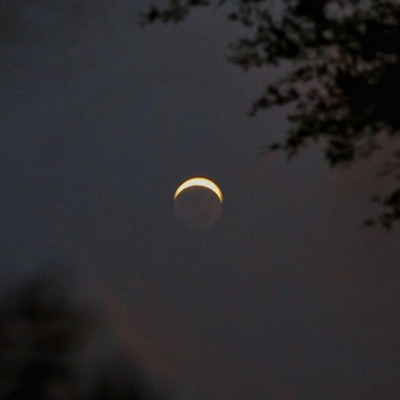 Planeta Errante - Single