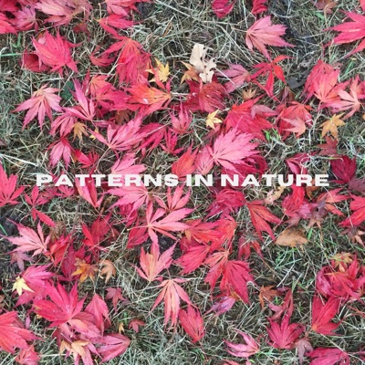 Patterns In Nature - EP