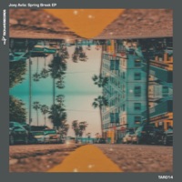 Spring Break - Single - Joey Avila