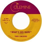 Thee Sinseers - What's His Name