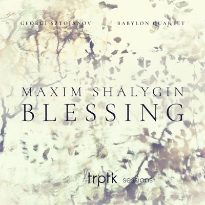 Shalygin: Blessing - Single