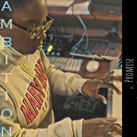 Incredible (Interlude) Promise.