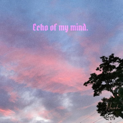 Echo of My Mind Freestyle - Single