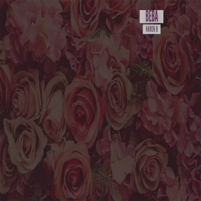 Beba - Single
