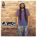 The Vibe Complex - EP